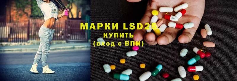 LSD-25 экстази ecstasy  что такое наркотик  блэк спрут как зайти  Михайловск 